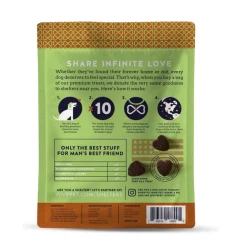 GivePet Beagle Scout Carob, Honey & Vanilla Soft & Chewy Dog Training Treats (6 oz)