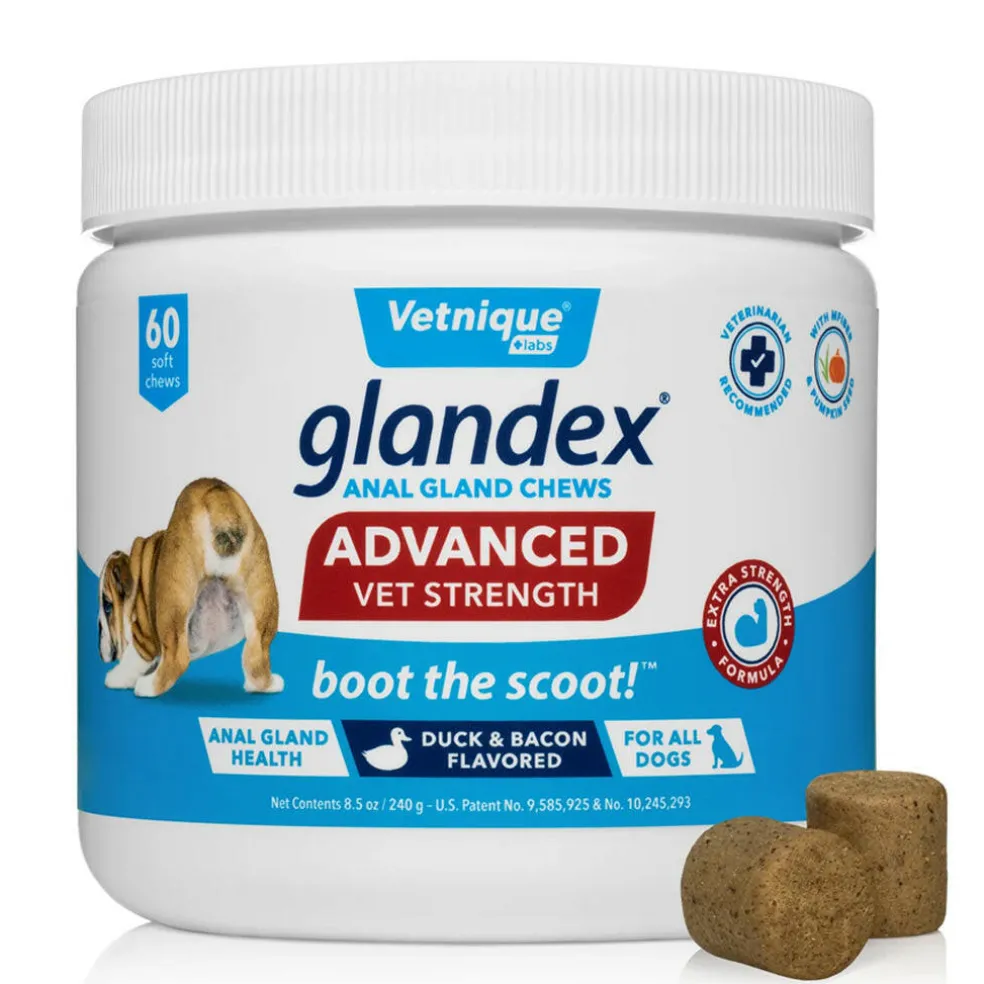 Glandex Advanced Vet Strength Anal Gland Support for Dogs, Duck & Bacon Flavor