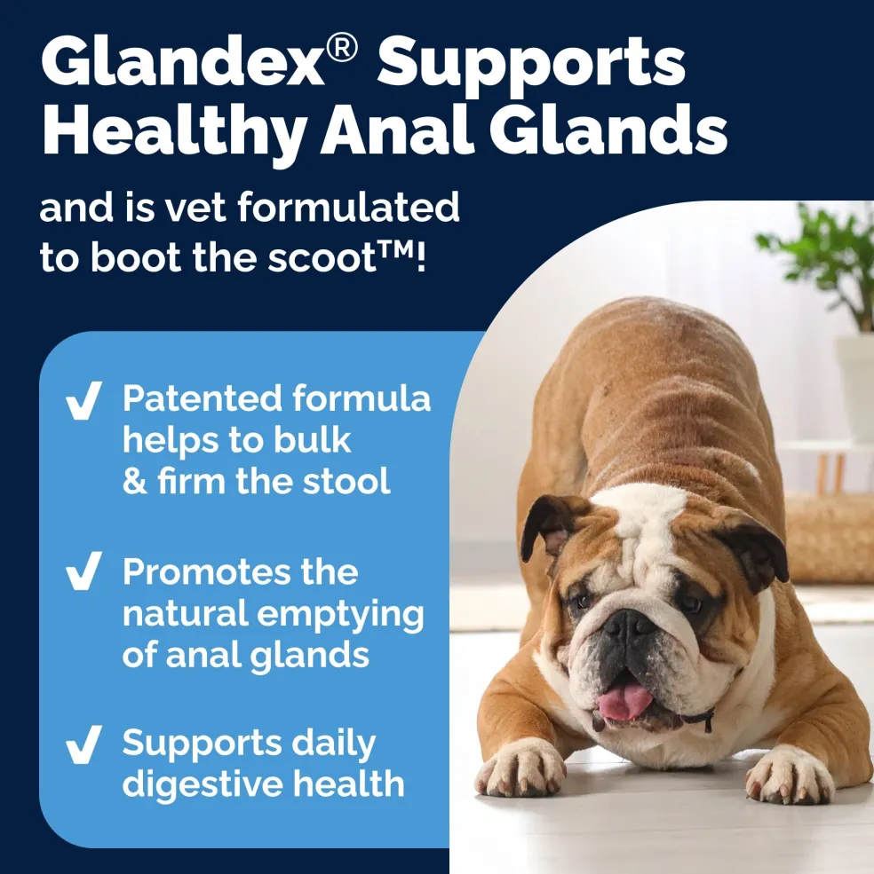 Glandex Advanced Vet Strength Anal Gland Support for Dogs, Duck & Bacon Flavor