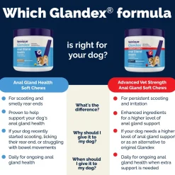 Glandex Advanced Vet Strength Anal Gland Support for Dogs, Duck & Bacon Flavor