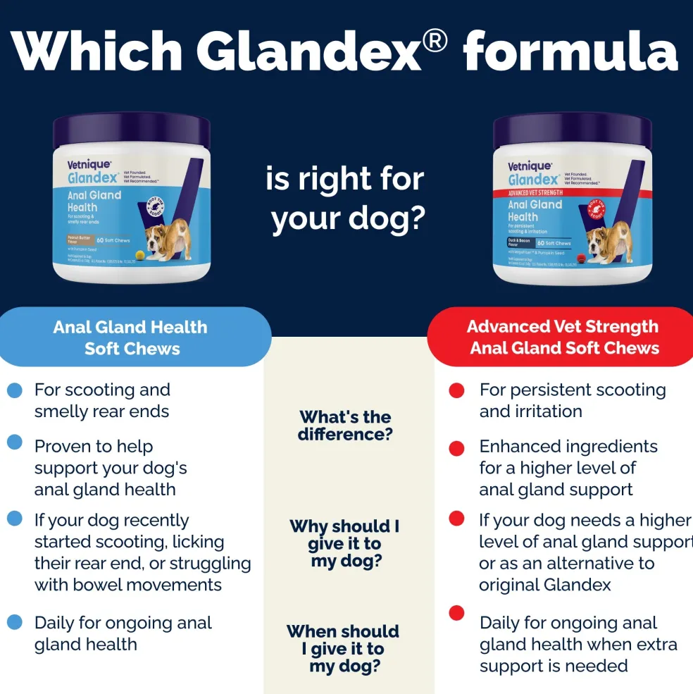 Glandex Advanced Vet Strength Anal Gland Support for Dogs, Duck & Bacon Flavor