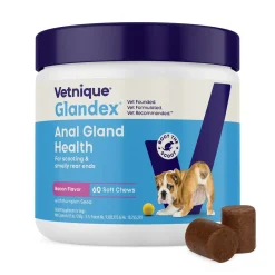 Glandex Anal Gland Support Bacon Flavored Soft Chews for Dogs