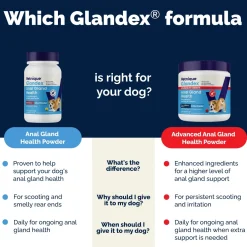 Glandex Anal Gland Support Pork Liver Flavored Powder for Dogs & Cats