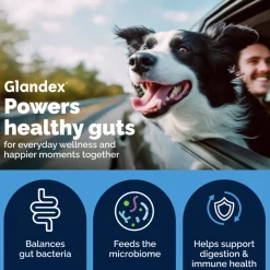 Glandex Daily Prebiotic & Probiotic Supplement Powder for Dogs, Pork Flavored