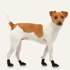 Goo-eez Lites Booties for Dog, Black
