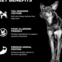 Go! Solutions Benefit Chews Sensitivies Limited Ingredient Salmon Recipe Soft & Chewy Treats for Dogs (6 oz)