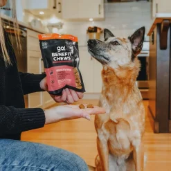 Go! Solutions Benefit Chews Sensitivies Limited Ingredient Salmon Recipe Soft & Chewy Treats for Dogs (6 oz)