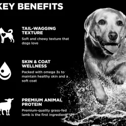 Go! Solutions Benefit Chews Skin + Coat Care Lamb Recipe Soft & Chewy Treats for Dogs (6 oz)