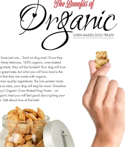 Grandma Lucy's Organic Oven Baked Apple Treats For Dogs (14 oz)