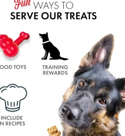 Grandma Lucy's Organic Oven Baked Apple Treats For Dogs (14 oz)