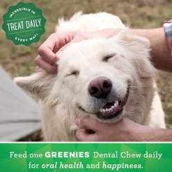 GREENIES Blueberry Large Dental Treats, 8 count
