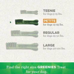 GREENIES Blueberry Petite Dental Treats, 20 count