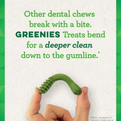 GREENIES Blueberry Petite Dental Treats, 20 count