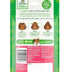 Greenies Feline Pill Pockets Salmon Flavor, 1.6-oz