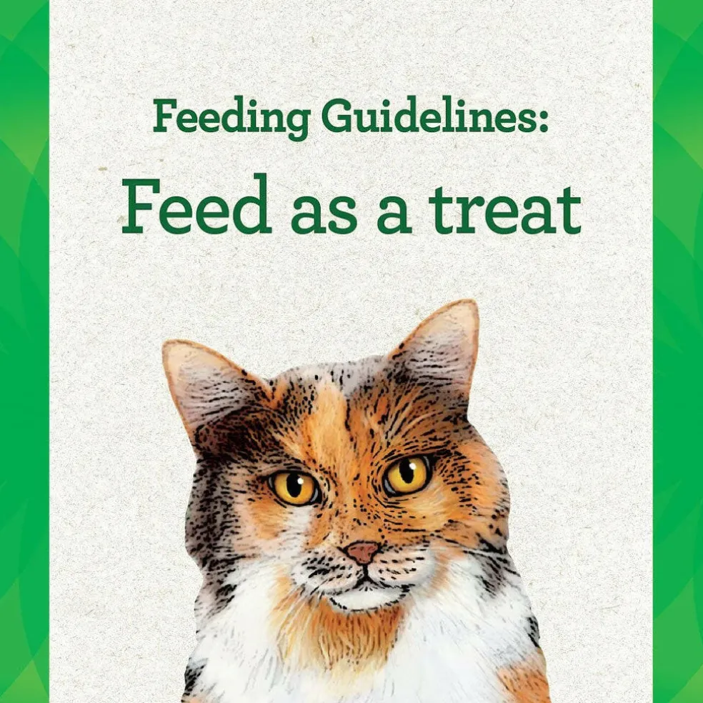 Greenies Feline Pill Pockets Catnip Flavor, 1.6-oz