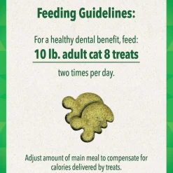 Greenies Feline Savory Salmon Flavor Dental Cat Treats