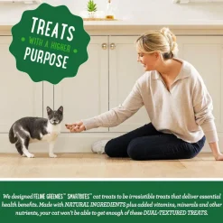 Greenies Feline SmartBites Skin & Fur Chicken Flavor Cat Treats, 2.1-oz
