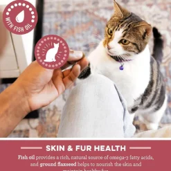 Greenies Feline SmartBites Skin & Fur Chicken Flavor Cat Treats, 2.1-oz