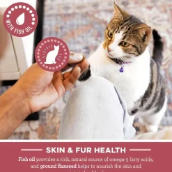Greenies Feline SmartBites Skin & Fur Salmon Flavor Cat Treats, 2.1-oz