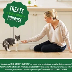 Greenies Feline SmartBites Skin & Fur Salmon Flavor Cat Treats, 2.1-oz