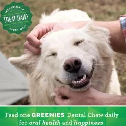 GREENIES Fresh Mint Teenie Dental Treats, 43 count