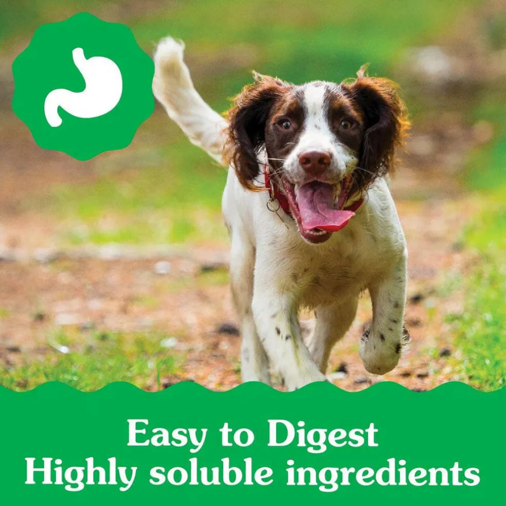 Greenies Teenie Puppy Dental Dog Treats