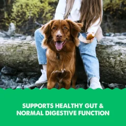 Grizzly Gut Health Liquid Supplement for Dogs & Cats