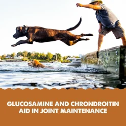 Grizzly Joint Aid Supplement For Dogs & Cats