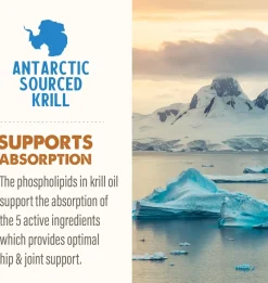 Grizzly Joint Aid Supplement For Dogs & Cats