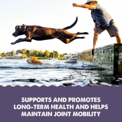 Grizzly Senior Supplement for Dogs & Cats 7+ Years