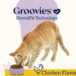 Groovies Chicken Flavor Dental Treats for Cats