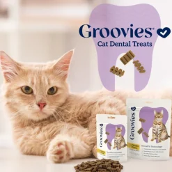 Groovies Chicken Flavor Dental Treats for Cats