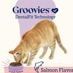 Groovies Salmon Flavor Dental Treats for Cats (7.05 oz)
