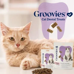 Groovies Salmon Flavor Dental Treats for Cats (7.05 oz)