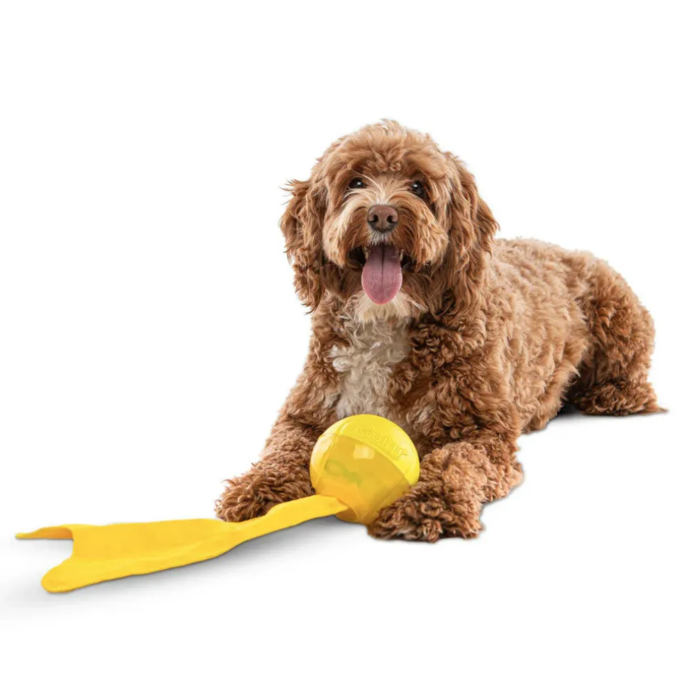 GURU Bonanza Ball Dog Toy, Medium