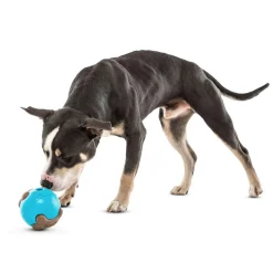GURU Busy Ball Treat Dispenser Dog Toy, Medium