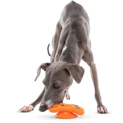 GURU Distracto-Pod Bone Treat Dispenser Dog Toy, Medium
