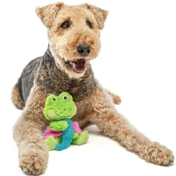 GURU Loveys Dog Toy, Frog, Medium