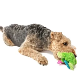 GURU Loveys Dog Toy, Frog, Medium