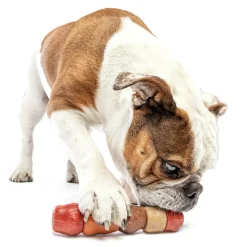 GURU Multi-Flavor Chew Stick Dog Toy, Medium