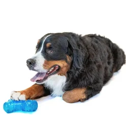 GURU No Begging! Bone Treat Dispenser Dog Toy, Medium