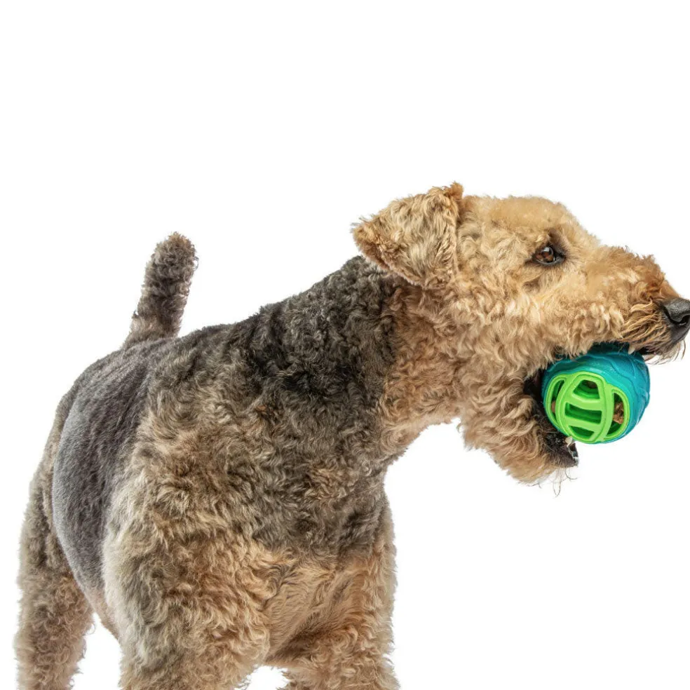 GURU Pocket Ball Dog Toy, Medium