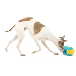 GURU Rock 'N Treat Dispenser Dog Toy, Medium