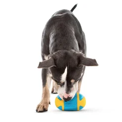 GURU Rock 'N Treat Dispenser Dog Toy, Medium
