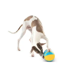GURU Rock 'N Treat Dispenser Dog Toy, Medium