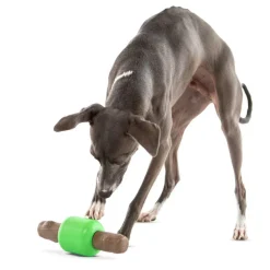 GURU Spin & Treat Stick Treat Dispenser Dog Toy, Large