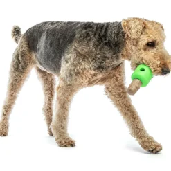 GURU Spin & Treat Stick Treat Dispenser Dog Toy, Large