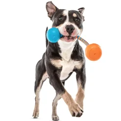 GURU Squeaking Rope Dog Toy, Medium