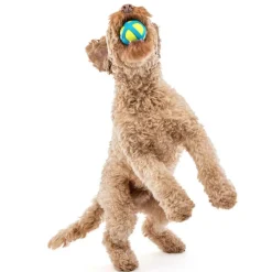 GURU Tennis Max Ball Dog Toy, Medium