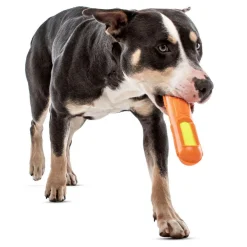 GURU Tennis Max Stick Dog Toy, Medium
